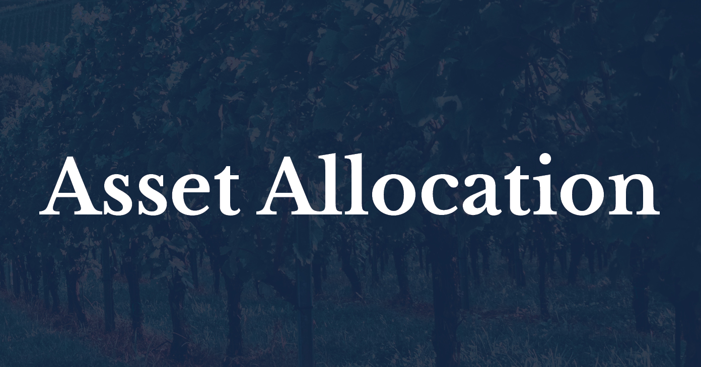 VGA_Asset Allocation